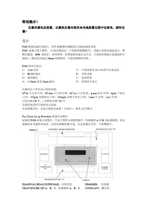 P300便携流量计说明书