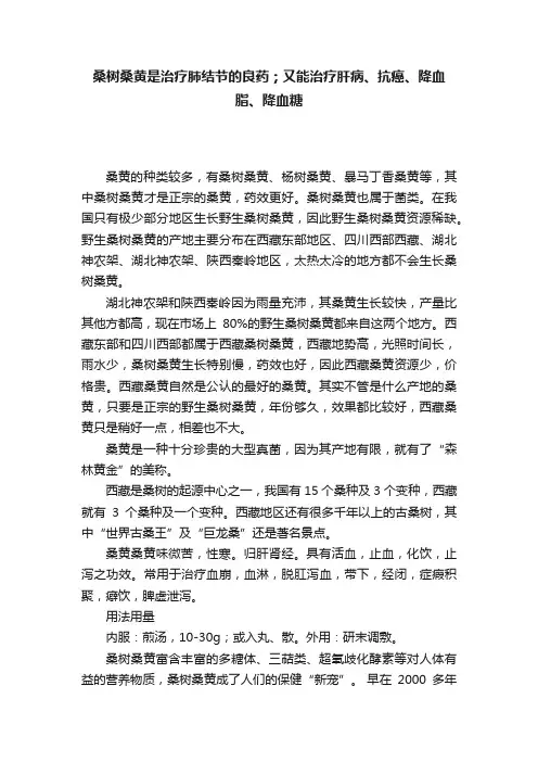 桑树桑黄是治疗肺结节的良药；又能治疗肝病、抗癌、降血脂、降血糖