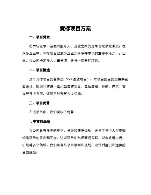 竞标项目方案