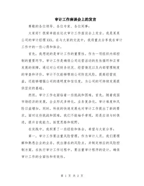 审计工作座谈会上的发言