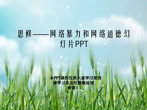 思修——网络暴力和网络道德幻灯片PPT