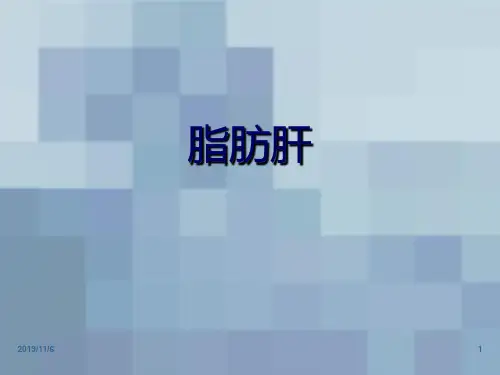 脂肪肝PPT课件