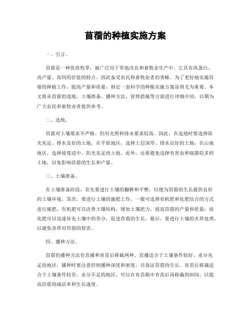 苜蓿的种植实施方案