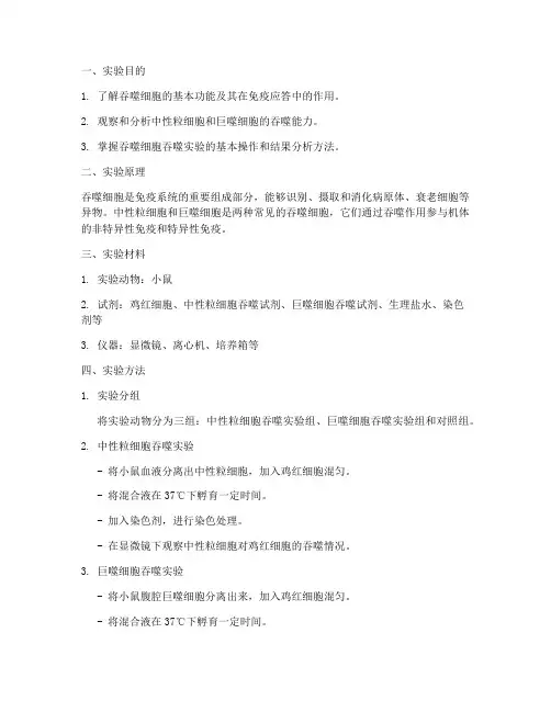 吞噬能力实验报告