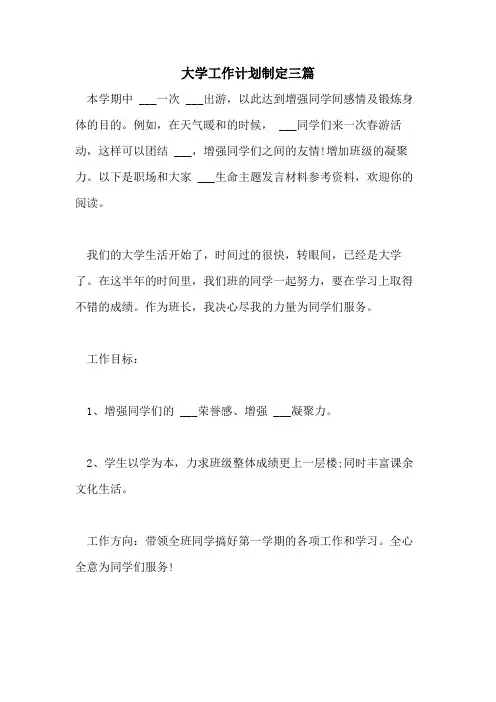 2021年大学工作计划制定三篇