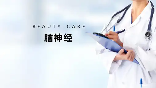 神经系统 周围神经系统 脑神经 人体解剖学课件
