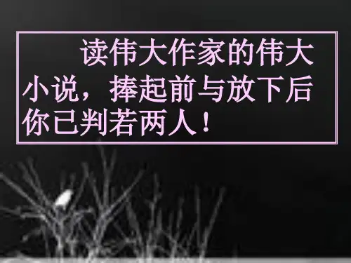 丹柯整理ppt课件