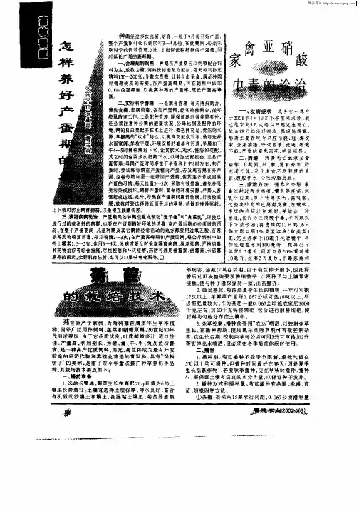 怎样养好产蛋期的种鹅
