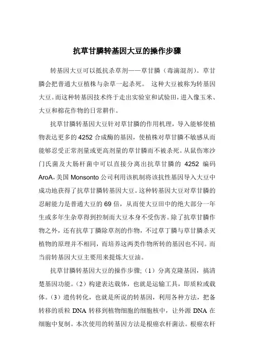 抗草甘膦转基因大豆的操作步骤