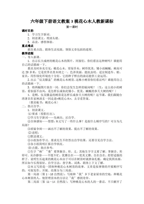 六年级下册语文教案3桃花心木人教新课标