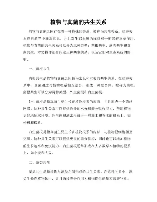 植物与真菌的共生关系