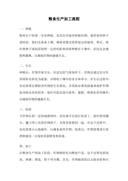 粮食生产加工流程