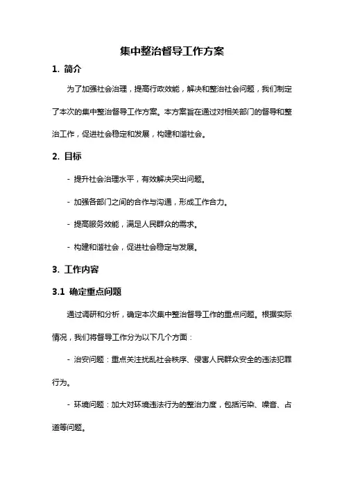 集中整治督导工作方案