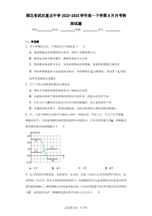 湖北省武汉重点中学2022-2023学年高一下学期6月月考物理试题(含答案解析)