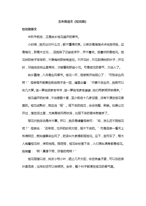 五年级语文《桂花雨》