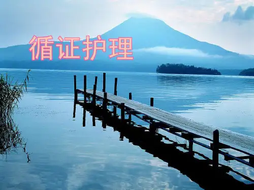 循证护理