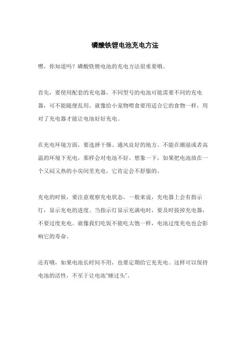 磷酸铁锂电池充电方法