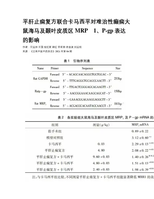 平肝止痫复方联合卡马西平对难治性癫痫大鼠海马及颞叶皮质区MRP