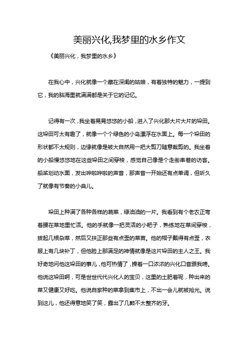 美丽兴化,我梦里的水乡作文