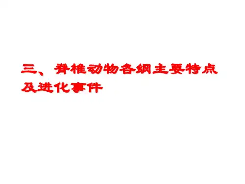脊椎动物各纲主要特点及进化事件(爬行-哺乳-2)