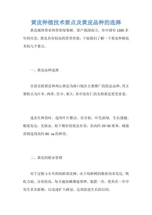 黄皮种植技术要点及黄皮品种的选择