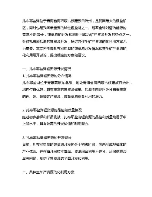 扎布耶盐湖锂资源开发共伴生矿产资源化利用方案