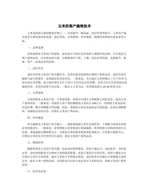 玉米的高产栽培技术