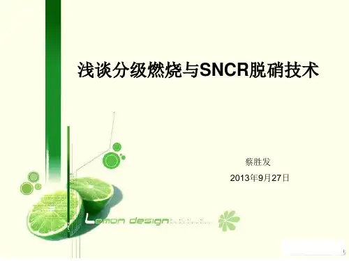 浅谈分级燃烧与SNCR脱硝(芜湖海螺)..