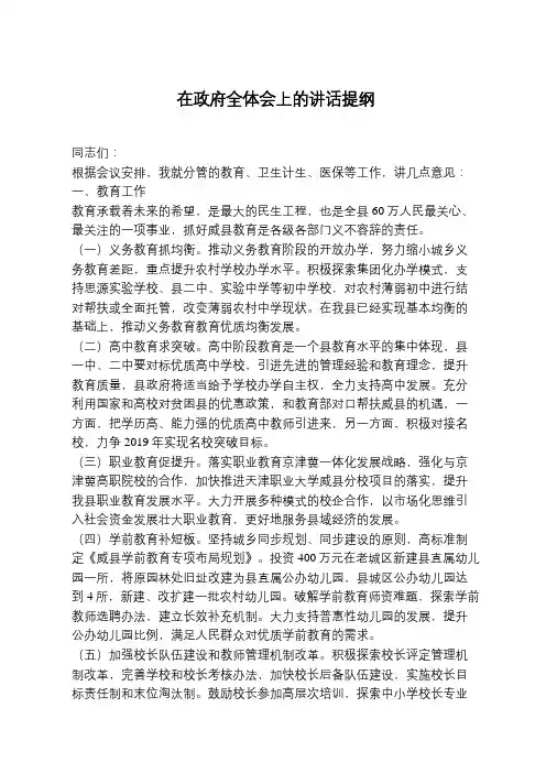在政府全体会上的讲话提纲
