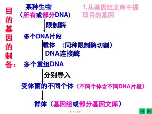 基因工程、细胞工程、胚胎工程流程图