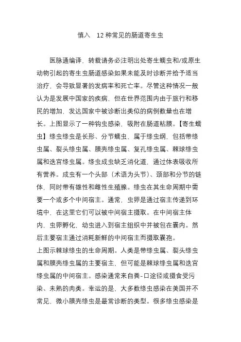 慎入  12种常见的肠道寄生虫