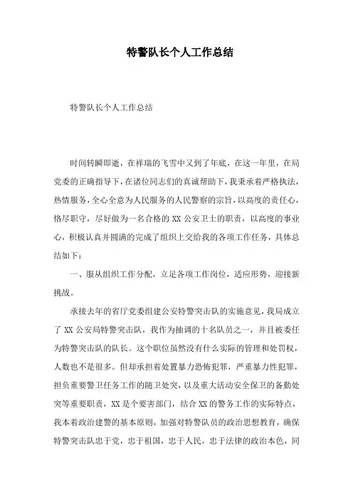 特警队长个人工作总结