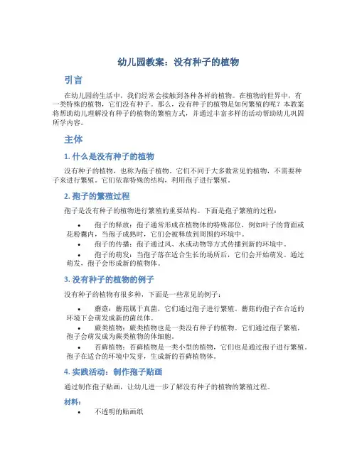 幼儿园教案没有种子的植物