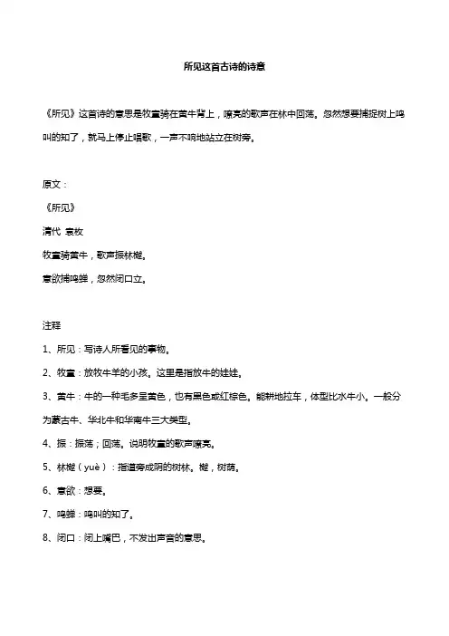 所见这首古诗的诗意