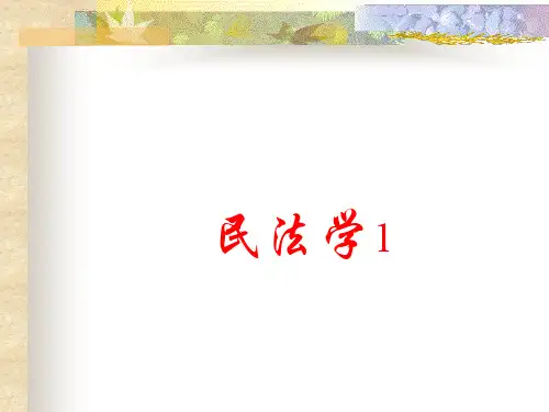 民法学专题培训讲义