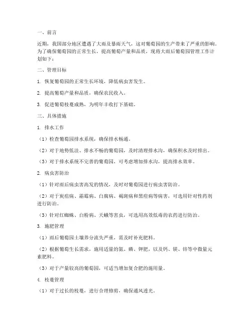 大雨后葡萄园管理工作计划