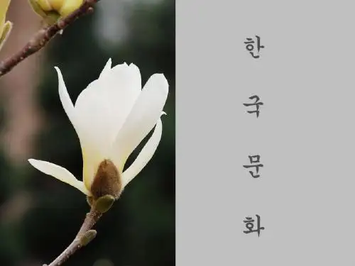 韩国概况2010