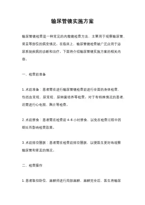 输尿管镜实施方案