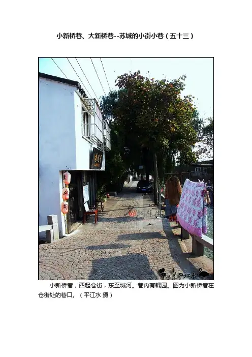 小新桥巷、大新桥巷--苏城的小街小巷（五十三）