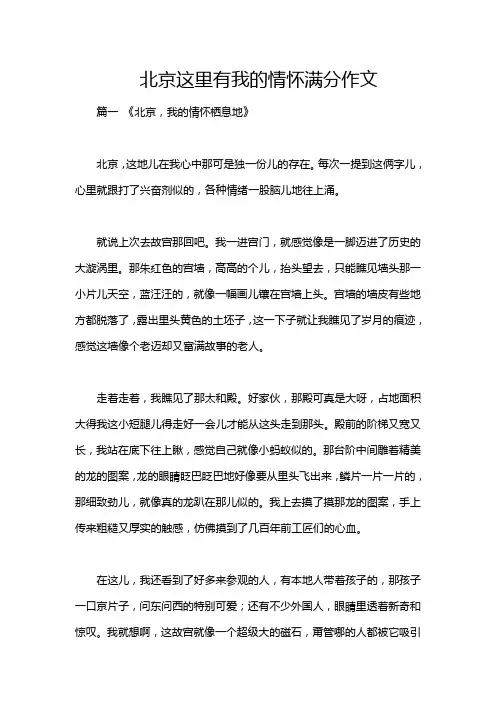 北京这里有我的情怀满分作文
