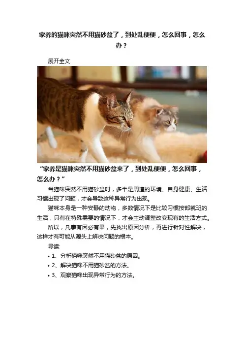 家养的猫咪突然不用猫砂盆了，到处乱便便，怎么回事，怎么办？