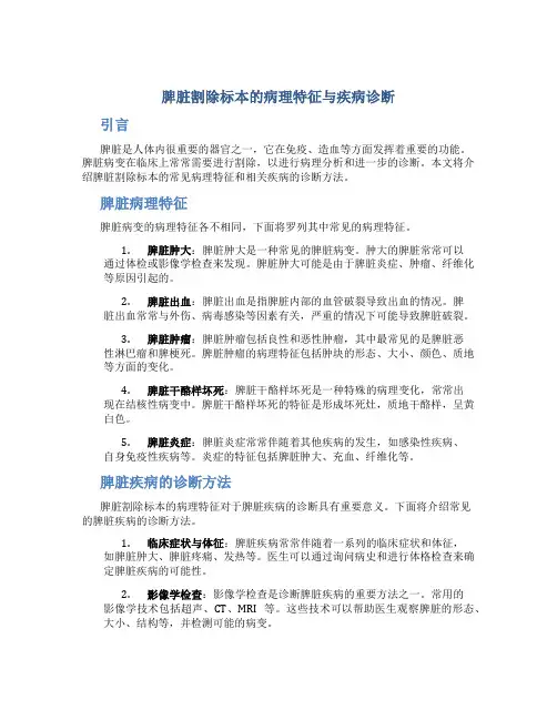 脾脏割除标本的病理特征与疾病诊断