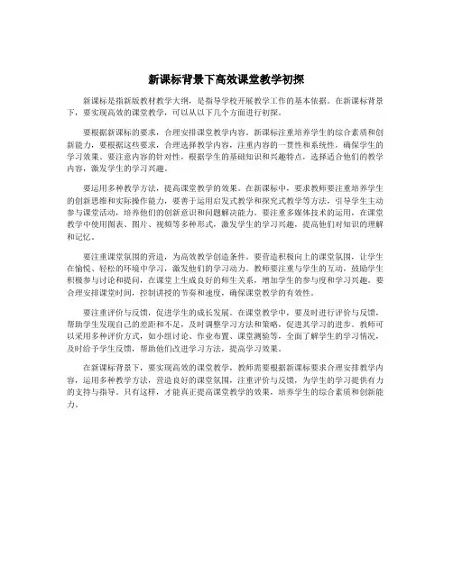 新课标背景下高效课堂教学初探