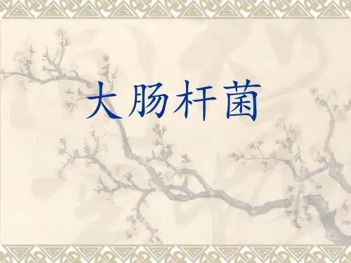 大肠杆菌