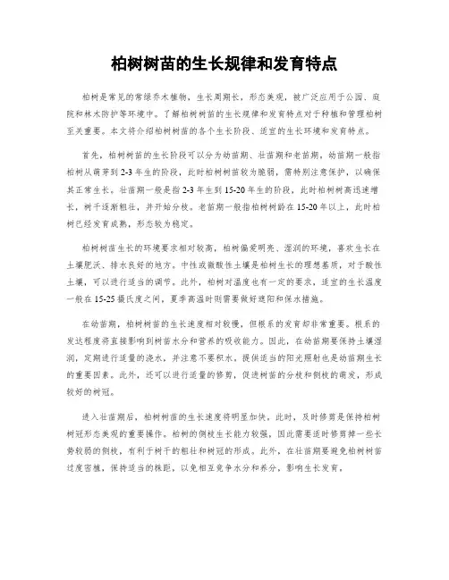 柏树树苗的生长规律和发育特点