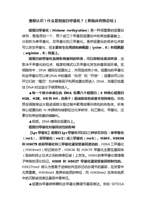 重新认识！什么是组蛋白甲基化？（附临床药物总结）