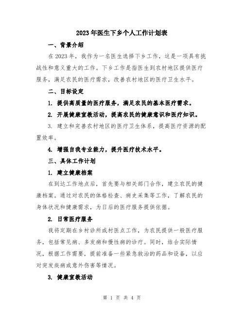 2023年医生下乡个人工作计划表 