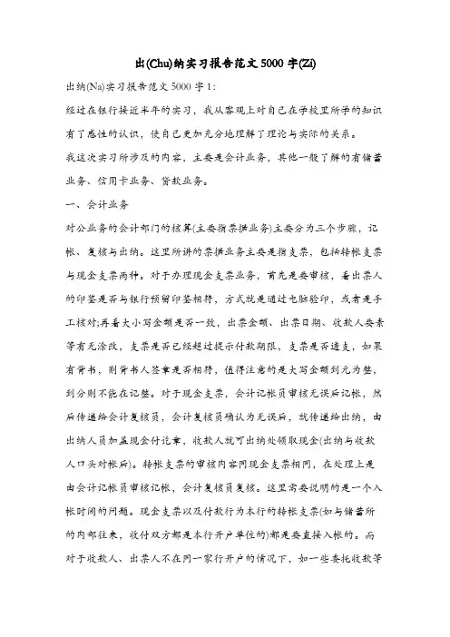 出纳实习报告范文5000字