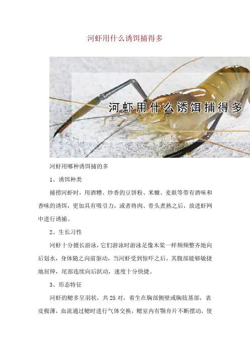 河虾用什么诱饵捕得多