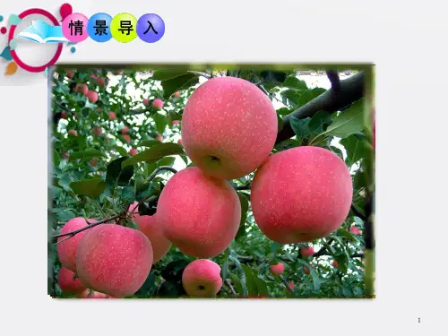 四川省泸州市泸州市梓橦路学校七年级生物上册 第三单元 第二章 第三节 开花和结果课件 (新版)新人教